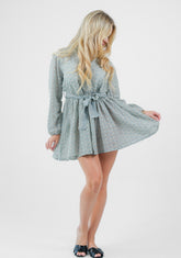 Schiffli Embroidered Mini Dress in Serene Mint